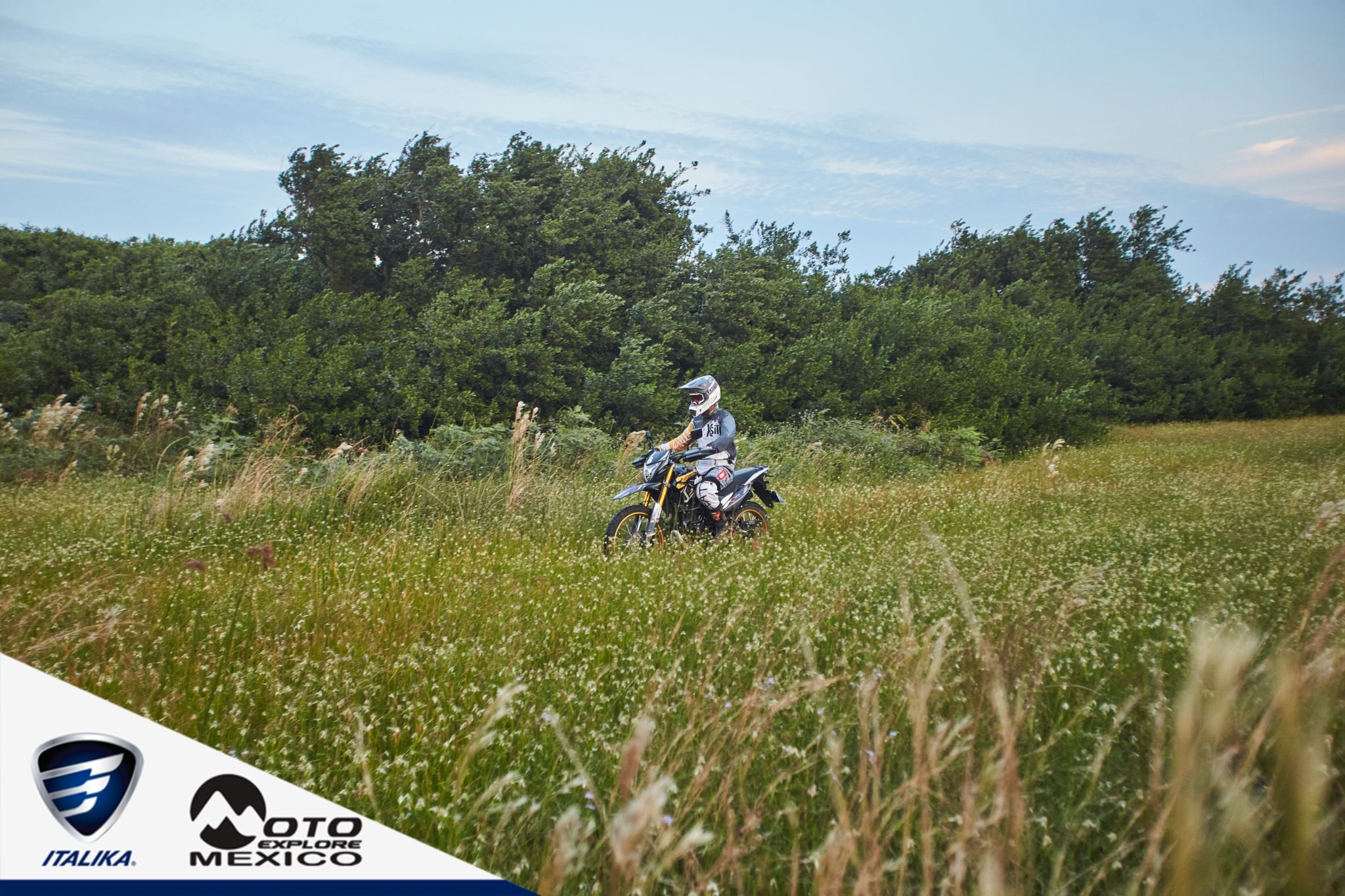 ITALIKA CHACHALACAS D1 406